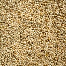 Barnyard Millet