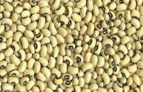 Black Eyed Peas