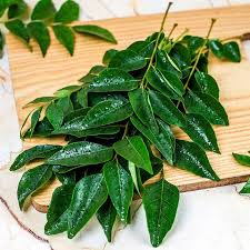 Curry Leaves
