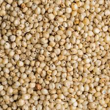 Jowar
