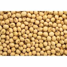 Soyabeans